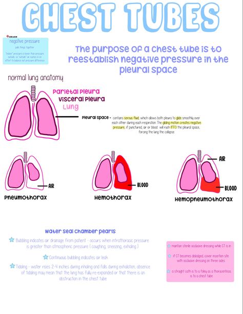 chest tube nursing cheat sheet, chest tube nursing, chest tube nursing notes, chest tube nursing care, respiratory, nursing respiratory cheat sheet Respiratory Medications, Respiratory Nursing, School Facts, Nursing Respiratory, Er Nursing, Crna School, Nurse Education, Nursing Cheat Sheet, Healthy Fridge