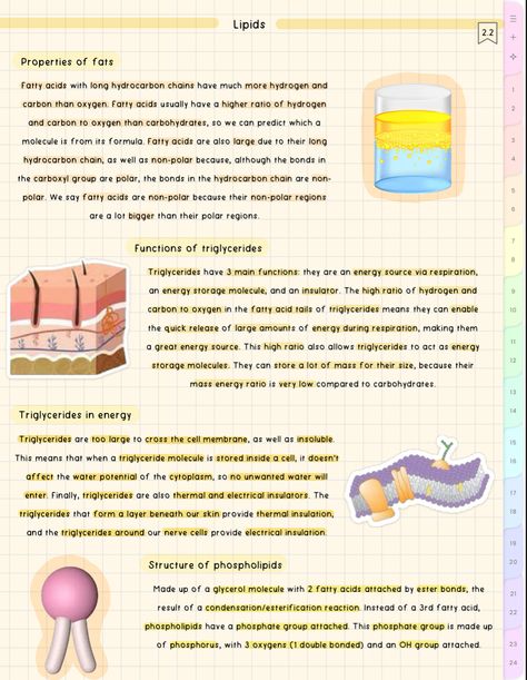 cute aesthetic biology notes Aesthetic Biology Notes, Aesthetic Biology, Bio Notes, Aesthetic School, Biology Notes, Cell Biology, 9th Grade, Cute Aesthetic, School Notes