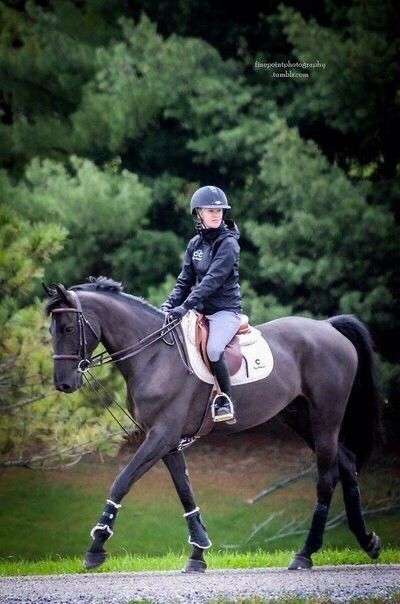 Equestrian Cottage, Horses Beautiful, Point Photography, Equestrian Aesthetic, Beautiful Horse Pictures, Equestrian Helmet, Dressage Horses, Sport Horse, Horse Equestrian