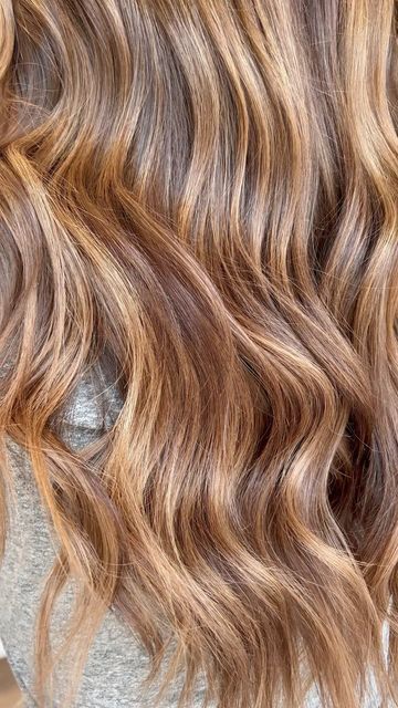 Hair Color Highlights, Hair Colour, Michigan, Highlights, Hair Color, Blonde, Hairstyles, Hair Styles, Hair