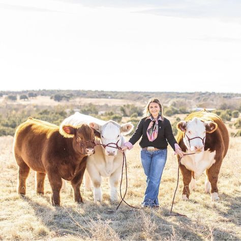 Livestock Photographer Aesthetic, Steer Photoshoot, Senior Picture Ideas With Show Cattle, Senior Pictures With Show Cattle, Livestock Senior Pictures Trailer, Senior Pictures With Cattle, Senior Country Picture Ideas, Stockshow Senior Pictures, Senior Picture Ideas Livestock