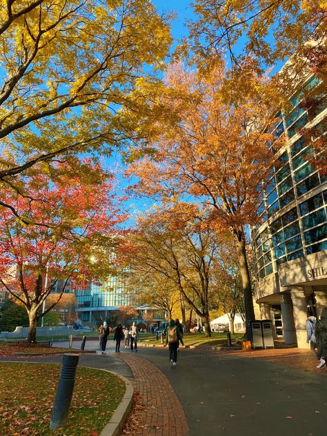 Babson College Aesthetic, Northeastern Aesthetic, Northeastern University Aesthetic, Boston Autumn, Autumn In Boston Aesthetic, Boston University Aesthetic, Boston College Aesthetic, College In Boston Aesthetic, Boston University Campus