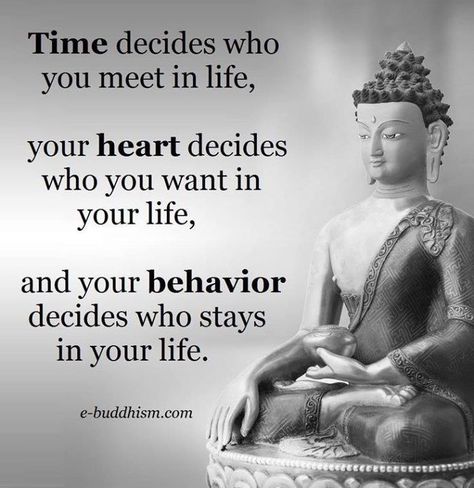 @visualmeditatio | visualmeditation.co Buddha Quotes Inspirational, Motivation Positive, Buddhism Quote, Buddhist Quotes, Buddha Quote, Buddha Quotes, Quotes Positive, About Time, Quotable Quotes