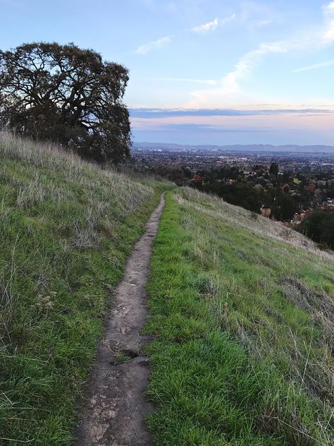 "The Path I Take" Trail through open space in Walnut Creek, California, USA offers spectacular views. This is Northwest view toward the East San Francisco Bay's largest suburban city of Concord, California, USA. California Suburbs, Concord California, San Francisco Muir Woods, Walnut Creek California, Pacific Coast Highway California, North Cascades Scenic Highway, Walnut Creek, San Francisco Bay, Getting Out