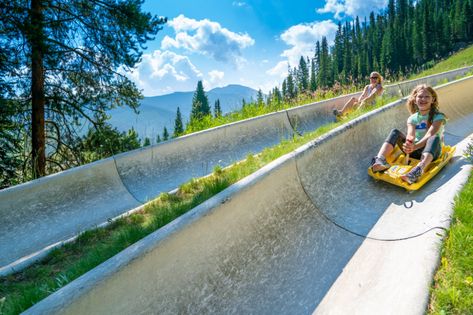 Alpine Slide Colorado, Fraser Colorado, Colorado Places To Visit, Alpine Slide, Vacay Ideas, Winter Park Colorado, Colorado Summer, 100 Things To Do, Family Vacay