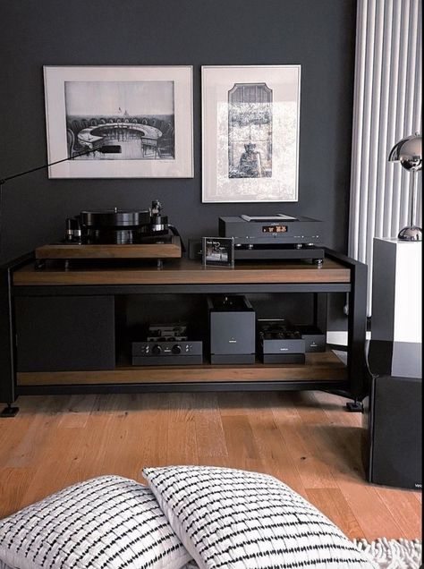 Record Room Ideas, Vinyl Record Furniture, Turntable Furniture, Audiophile Room, Hifi Room, Hifi Furniture, Audio Cabinet, Home Music Rooms, Vinyl Room