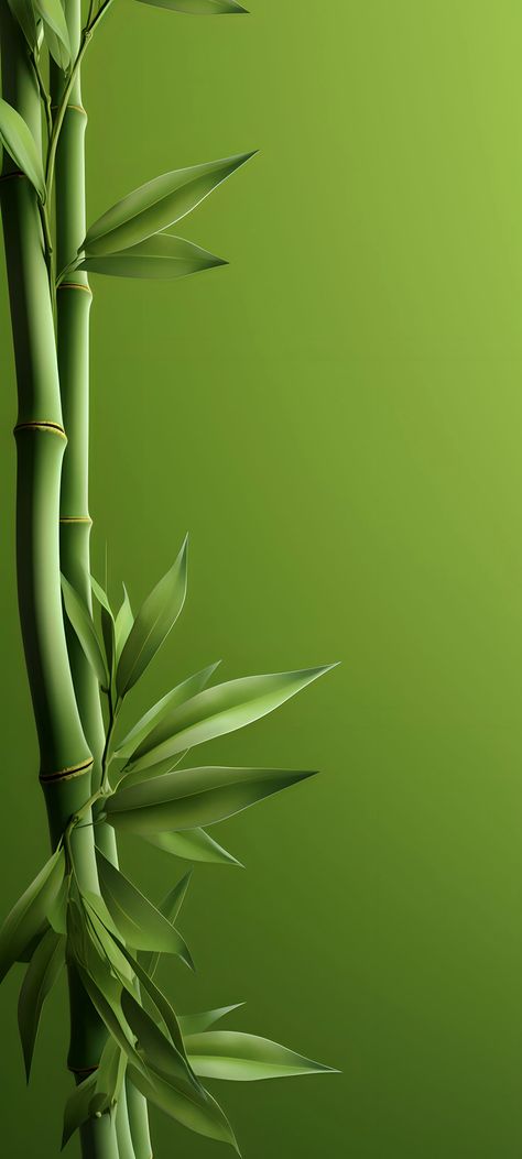 Bamboo Wallpaper, Cellphone Background, Leaf Photography, Artistic Wallpaper, Lucky Symbols, Lucky Bamboo, Floral Wallpaper Phone, Spiritual Artwork, Simple Iphone Wallpaper