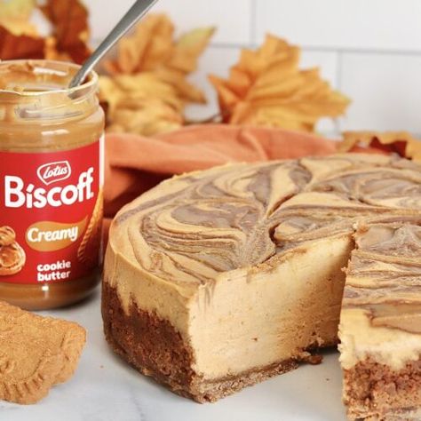 Biscoff Pumpkin Cheesecake - Sweet Girl Treats Biscoff Pumpkin Cheesecake Bars, Pumpkin Pie Biscoff Crust, Cookie Butter Pumpkin Cheesecake, Pumpkin Turtle Cheesecake, Pumpkin Biscoff Cheesecake, Pumpkin Cheesecake Biscoff Crust, Pumpkin Cheesecake With Biscoff Crust, Pumpkin Cheesecake Bites Recipes, Biscoff Pumpkin Pie