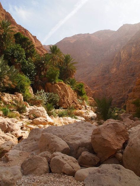 Avatar Film, Oman Travel, Desert Vibes, Desert Oasis, Desert Landscaping, In The Desert, Hidden Treasures, Tunisia, Countries Of The World