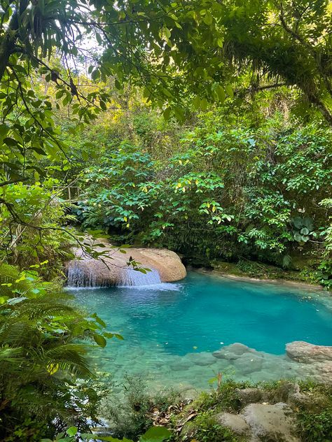 cuba trinidad el nicho Cuba Nature, Cuba Aesthetic, Havanna Cuba, Trinidad Cuba, Cuba Travel, Disney World Trip, Caribbean Islands, Beach Aesthetic, Trinidad