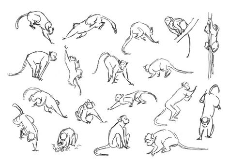 Zoo Drawing, Monkey Pose, Story Artist, Monkey Drawing, Monkey Illustration, Monkey Tattoos, Cartoon Drawing Tutorial, Lille France, Snake Art