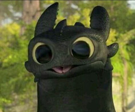 Cute Toothless, How To Train, Toothless, A Dragon, Train, Black