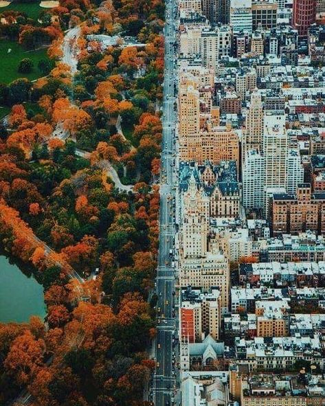 Where Central Park and the City meet 🍁🏠📸 @jaynaraasakkaMOD | @enric_torresFollow us on Facebook! [LINK IN BIO] City Vs Nature, Nature Vs City, New York Nature, City And Nature, City Nature, Nature City, Magic Places, Voyage New York, Photography People