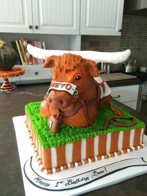 #Bevo is the best! Longhorn Cookies, Texas Longhorn Wreath, Hookem Horns, Homesick Texan, Ut Longhorns, Texas Longhorns Football, Longhorns Football, Hook Em Horns, Texas Football