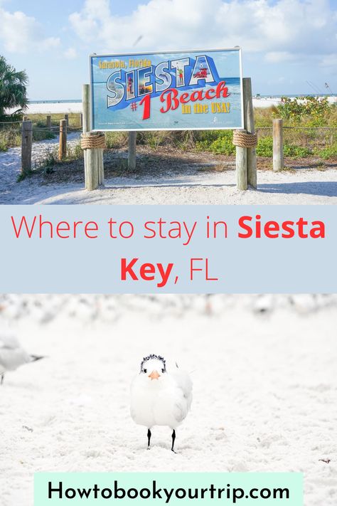 Where To Stay In Siesta Key Florida, Siesta Beach Florida, Siesta Key Beach Florida, Siesta Key Village, Florida Vacation Spots, Tropical Beach Resorts, Florida Trips, Siesta Beach, Siesta Key Florida