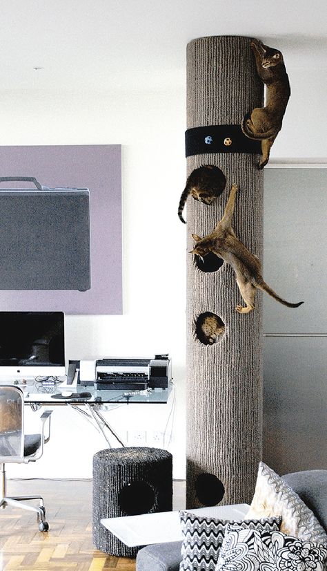 Katt Diy, Katt Grejer, Kat Diy, Cat Climber, Diy Cat Tree, Modern Cat Tree, Playground Ideas, Cat House Diy, Cat Playground