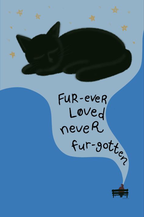 a pet is like an extended family, losing them is equally as hard. i am sorry to those who experience loss of pet recently. this one is for you. #blackcat #petloss #biggerthanthewholesky #petcat #furbaby Quotes About Losing A Pet Cat, Loss Of Kitty, Rip Cat Quotes, Losing A Pet Quote Cat, Losing A Pet Cat, Losing Your Cat, Losing A Cat Quote, Losing A Cat, Losing Your Pet