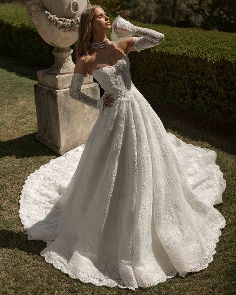 Le Jardin Secret collection — Blanche Bridal | Designer Wedding Dresses Blanche Bridal, Wedding Dresses Lace Ballgown, Basque Waist, Gray Wedding, Modern Romance, Gray Weddings, Future Wedding Ideas, Wedding Dress Sleeves, A Line Gown