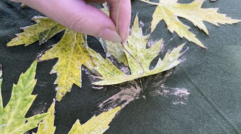 Tutorial: Leaf printing with Bleach Bleach Leaf Print, Leaf Bleach Printing, Bleach Stamping, 2025 Bedroom, Leaf Printing, Ash Leaf, Leaf Outline, Olive Green Shirt, Bleach Art