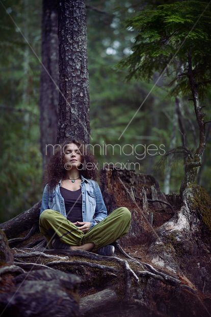 Meditation Poses, Stock Photos Woman, Park Bench, A Tree, Pose Reference, Tree Trunk, Meditation, Forest, Stock Photos