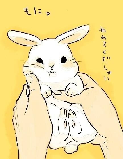 bunneh Rabbit Illustration, Bunny Drawing, 강아지 그림, Japanese Illustration, Bunny Art, 판타지 아트, Cute Animal Drawings, A Drawing, 귀여운 동물