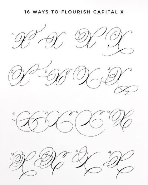 16 ways to flourish capital X. I don’t know why, but this letter feels the most Chritmassy to me. Happy holiday everyone!🎄🥂 #flourish… Ornamental Penmanship, Flourishing Calligraphy, Cursive Letters Fancy, Basic Calligraphy, Calligraphy Letters Alphabet, Flourish Calligraphy, Lettering Styles Alphabet, Cursive Calligraphy, Calligraphy Tutorial