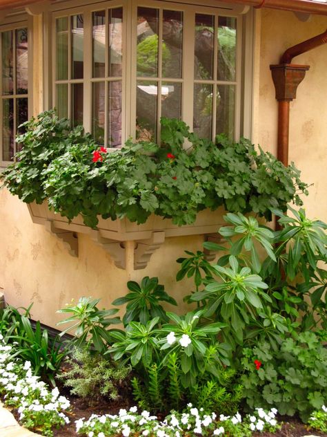 What a great corner detail shown here! Corner Windows, Flower Containers, Corner Window, Fairytale Cottage, Charming Cottage, Flower Window, Carmel By The Sea, Garden Windows, Window Blinds