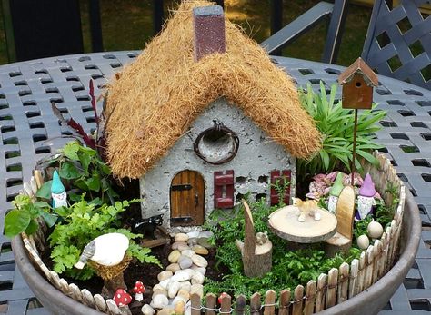 Fairy garden with gnomes Fairy Gardens Ideas, Veggie Garden Layout, Tiny Garden Ideas, Fairy Garden Pots, Garden Furniture Design, Fairy Garden Furniture, Gardens Ideas, Garden Ideas Cheap, Corner Garden