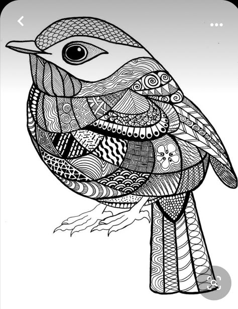 Mandala Bird, Zentangle Animals Art, Zentangle Templates, Animal Zentangle, Patterns Doodle, Bird Mandala, Takken Decor, Bird Doodle, Zentangle Animals