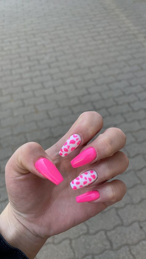 Pink And Blue Cow Print Nails, White Cow Print Nails, Blue Cow Print Nails, Pink Cow Print Nails, Blue Cow Print, Cowboy Nails, Cow Print Nails, Pink Cow Print, White Cow Print