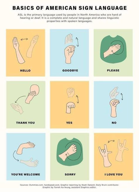 How Are You In Sign Language, Asl Lessons, Simple Sign Language, Hand Sign Language, Asl Sign Language Words, Asl Alphabet, Sign Language Chart, Sign Language For Kids, Sign Language Phrases