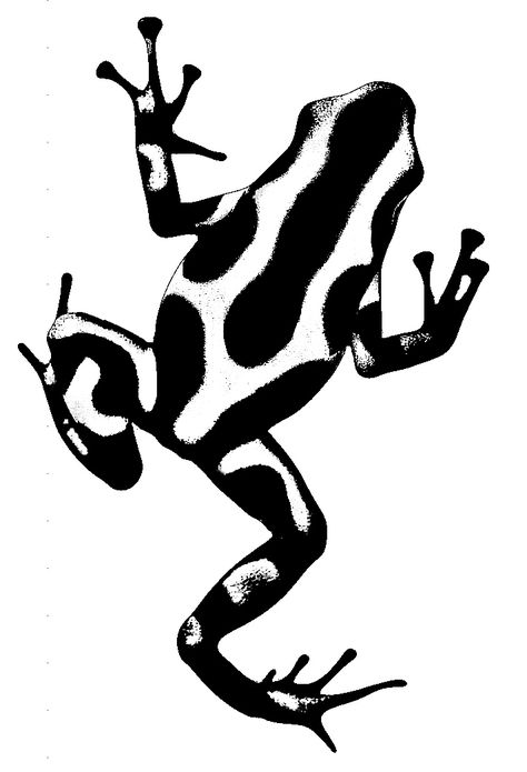 Poisonous Dart Frog Drawing, Big Nature Tattoo, Edgy Dog Tattoo, Frog From Above, Climbing Frog Tattoo, Meditating Frog Tattoo, Poison Frog Tattoo, Frog Tattoo Stencil, Anomalocaris Tattoo