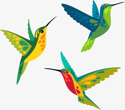 Hummingbird Drawing, Hummingbird Art, Vector Art Illustration, Cartoon Clip Art, Free Vector Graphics, Free Vector Art, Hummingbirds, Bird Art, Vector Graphics