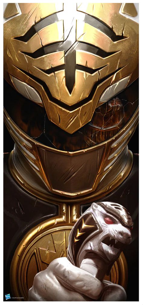 Power Ranger White Tiger, Power Ranger Comics, Ninjetti Power Rangers, Lord Zedd Power Rangers, White Ranger Art, White Ranger Wallpaper, Mighty Morphin Power Rangers Wallpaper, Power Rangers Wallpaper, Power Rangers White Ranger