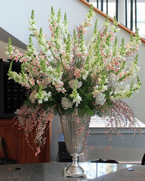 Arrangement from April 9, 2013: snapdragons, genestra, Ming ferns, and rice flowers Snapdragon Centerpiece, Snapdragon Arrangements, Bouquet With Snapdragon, Wild Flower Floor Arrangement, Snapdragon Flower Arrangement, Snapdragon Table Arrangement, Snap Dragon Floral Arrangement, Floral Photo Shoots, Wedding Flower Arrangements Table