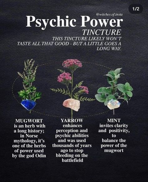 Magical Herbs Witchcraft, Herbs For Protection, Herbal Education, Herbal Remedies Recipes, Magickal Herbs, Medicinal Herbs Garden, Witch Herbs, Magic Herbs, Magical Herbs