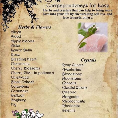 Cherry Witchcraft, Wisdom Spell, Wiccan Designs, Spell Ingredients, Magickal Correspondences, Witch Grimoire, Divination Witch, Candle Magic Spells, Witch Tips