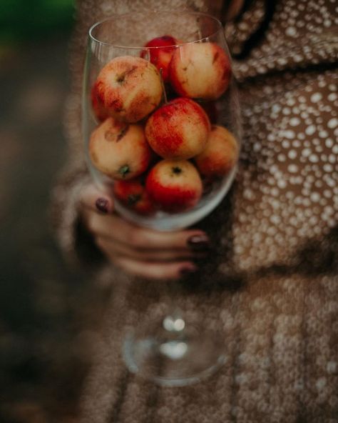 Cobbler Crust, Cider House, Autumn Rain, Apple Orchard, Perfect Love, Christmas Past, Autumn Cozy, Apple Tree, Golden Color