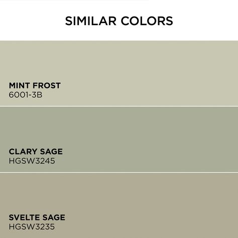 Valspar® Reserve® is our most advanced protection in just one coat. One-coat coverage guaranteed. Valspar Reserve Semi-gloss Sandy Sage 5008-1C Latex Interior Paint Paint + Primer ( 1-gallon ) | 5008-1C-2916583 Good Green Paint Colors, Sage Green Valspar Paint, Pale Green Sherwin Williams, Sage Leaf Sherwin Williams, Valspar Sage Green, Sage Green Paint Colors Sherwin Williams, Sage Green Front Door Colors, Light Sage Green Kitchen Cabinets, Valspar Paint Colors Green