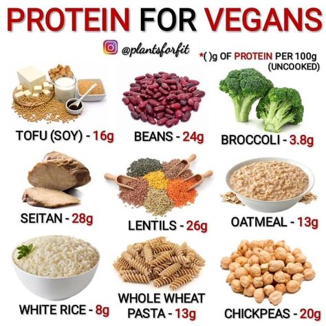 Vegetarian Protein Sources, Vegan Protein Sources, Healthy Vegan Recipes, High Protein Vegan Recipes, Plant Based Diet Recipes, Vegetarian Protein, High Protein Vegan, Protein Rich Foods, Vegan Nutrition