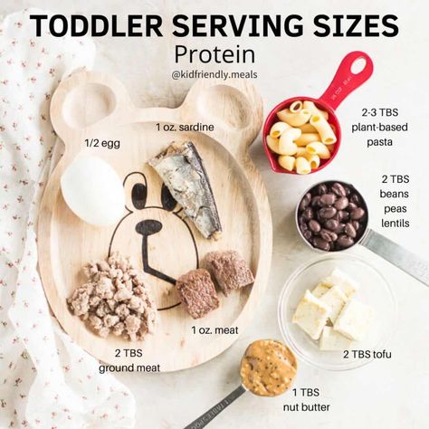 Recommended Toddler Serving Sizes with Visuals - MJ and Hungryman Yogurt Covered Blueberries, Toddler Nutrition, One Pot Vegetarian, Serving Sizes, Egg Pasta, Toddler Lunches, Iron Rich Foods, Iron Rich, Beef And Noodles