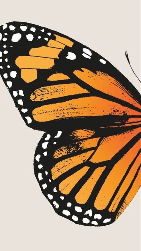 Butterfly Wallpaper Iphone, Trending Pins, Butterfly Drawing, Graphic Wallpaper, Backgrounds Phone Wallpapers, Butterfly Wallpaper, Butterfly Art, Cellphone Wallpaper, Diy Canvas Art