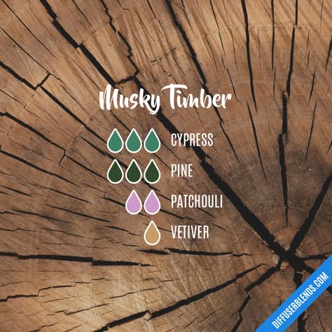 Musky Timber — Essential Oil Diffuser Blend Essential Oil For Men, Perfume Blends, Essential Oil Perfumes Recipes, Essential Oil Combinations, Chemistry Lab, Essential Oil Diffuser Blends Recipes, Perfume Recipes, Essential Oils Guide, Essential Oil Diffuser Recipes