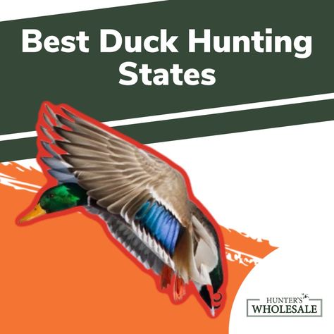 Hunting Ideas, Duck Species, Texas Panhandle, Duck Hunting Gear, Texas Parks, Waterfowl Hunting, Duck Hunter, Migratory Birds, Bird Hunting