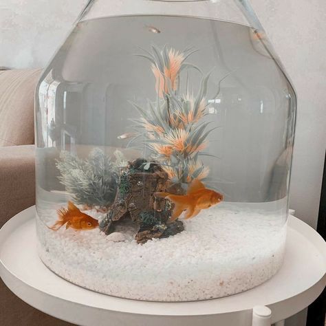 Small Aquarium Ideas Decoration, Aesthetic Fish Tank, Aesthetic Fish Tank Ideas, Betta Fish Bowl, Aesthetic Fish, Fish Tank Ideas, Tanaman Air, Fish Aquarium Decorations, Fish Tank Themes