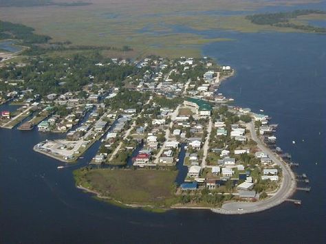 Great scalloping here!  Horseshoe Beach, Florida, Horseshoe Cove Condo Rental  Unit 203 Jimmy1-352-498-2400 Florida Coastal Homes, Bill Of Sale Car, East Coast Beaches, Fall Fishing, Camping Sites, Kayak Camping, North Florida, Waterfront Property, Big Bend