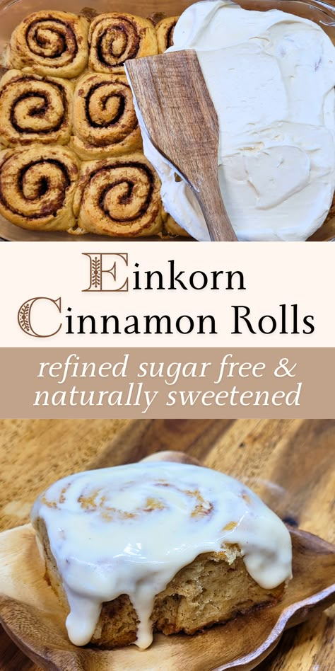 Einkorn Cinnamon Rolls - Refined Sugar Free - Traditional Home Living Cinnamon Rolls And Cream, Healthy Cinnamon Rolls, Einkorn Recipes, Einkorn Flour, Make From Scratch, Natural Alternatives, Sugar Free Recipes, Best Dessert Recipes, Cheap Meals