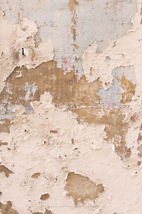 PINK TEXTURED WALL Cover Uneven Walls, What Wallpaper, Wallpaper Pink And White, Texture Inspiration, Peeling Paint, Best Wallpaper, 背景 シンプル, Beautiful Mess, Color Inspo