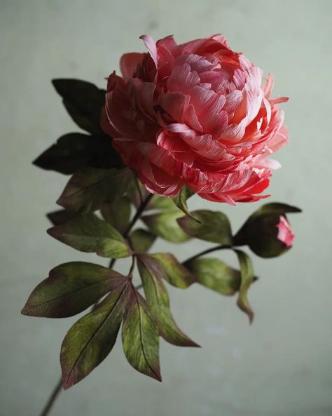 Karin Edlund | Make a peony leaf with me! #paperflowers #pappersblommor #paperpeony | Instagram Peony Leaf, Peony Tutorial, Peony Leaves, Tasha Tudor, Paper Peonies, Crepe Paper, My Garden, Paper Flowers, Peonies