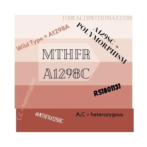 MTHFR A1298C Homozygous Mutation - ToHealthWithThat Mthfr A1298c, Mthfr C677t, Gene Mutation, Mthfr Gene Mutation, Mthfr Gene, Genetic Testing, Medical Research, Amino Acid, Do You Really